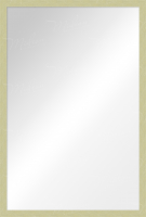 Зеркало в алюминиевой раме 05 Premium Золото матовое